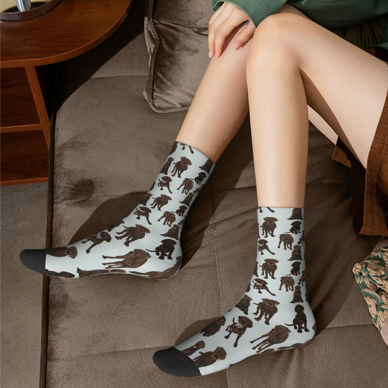 Шоколадные лабрадорские носки Harajuku поглощающие пот чулки всесезонные длинные носки аксессуары для подарка унисекс