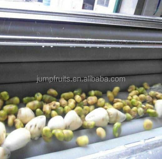 Industrielle Pommes Frites Produktions linie Kartoffel Wasch-und Schälmaschine