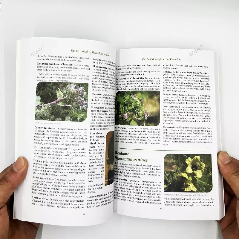 식물 치유력 약초 요법의 잃어버린 책, 컬러 내부 페이지 페이퍼백