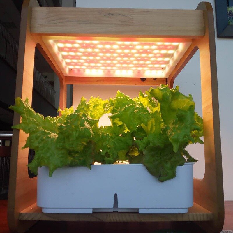 Sistema hidropônico vertical interior, Plantando e crescendo pote, Instalação de jardinagem vegetal, 12 furos, inteligente