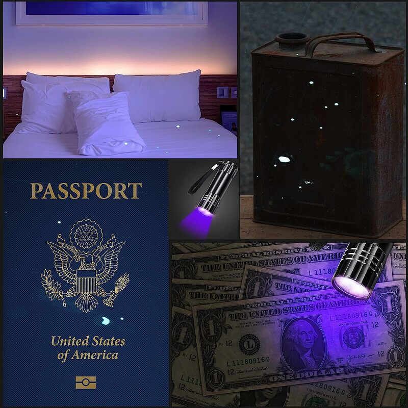 Lanterna UV Lâmpada Ultravioleta, Tocha Preta, Detector de luz para mancha de urina, Mancha seca, 395-400nm