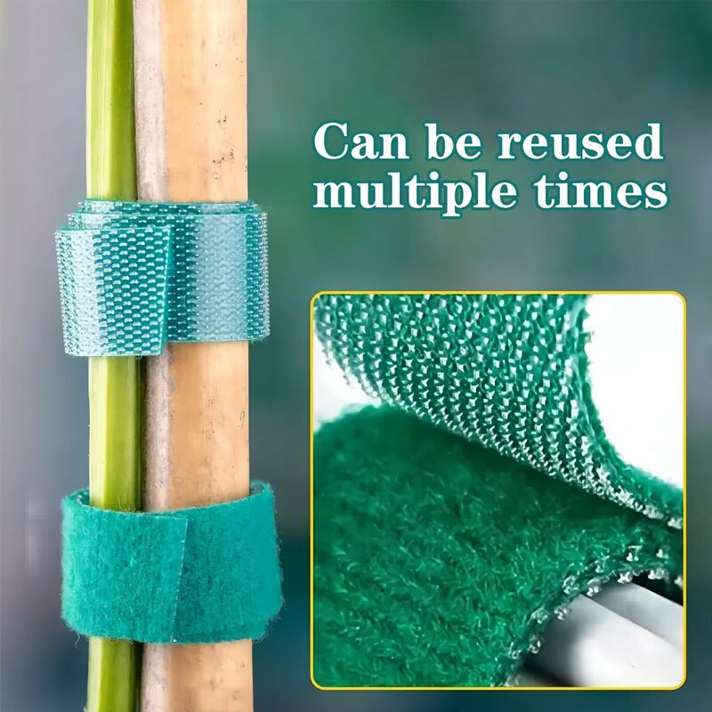 Auto-adesivo Nylon Plant Ties, Garden Twine Wrap Support Tape, Tiras de fixação, Hook Loop, Plant Bandage, 100 m, 2m