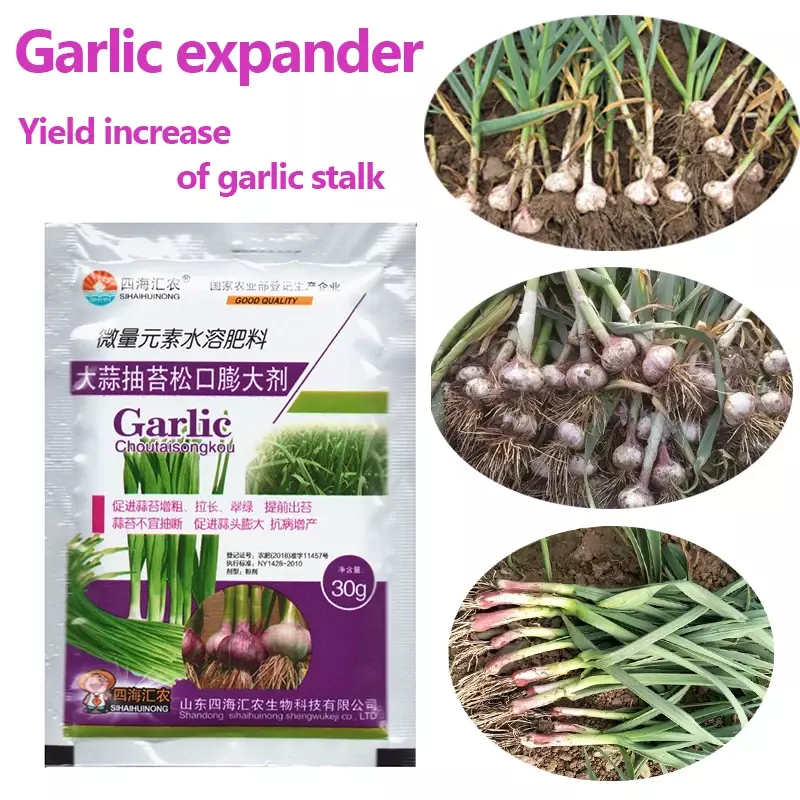 Le verdure del gambo di aglio promuovono l'allungamento del gonfiore dell'elemento in tracce fertilizzante fogliare giardino crescita delle piante raccolto fattoria
