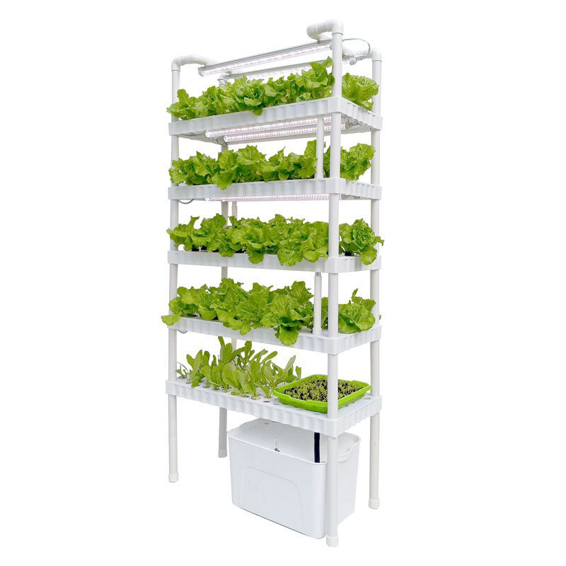 Sistema hidropônico Cultivo sem solo Jardim vertical artificial Smart Indoor Planter System Estufas Equipamento jardinagem