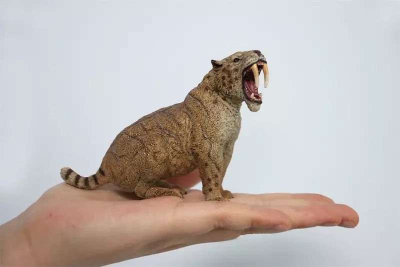 TNG Machairodus Modelo Smilodon Saber-toothed Tiger Animal Figura Realista Adulto Crianças Crianças Presente de Natal Brinquedos Desktop Decor