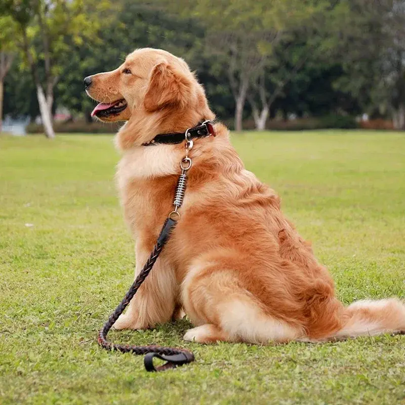 Skórzane smycz dla psa do duży pies skóry rozciągliwa dla psa przeciągnij lina holownicza łańcuszek, akcesoria dla zwierząt domowych akcesoria zapobiegają uciekinieowi