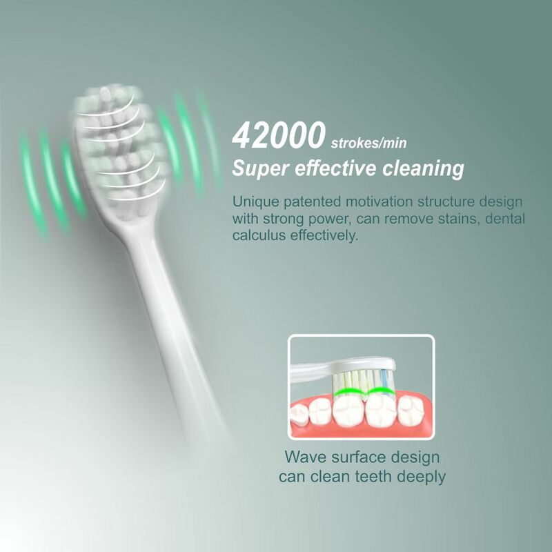 Sfeel 15 Modes Smart Sonic Electric Toothbrush Adult Timer USB Type C Rechargeable Whitening IPX7 Waterproof P4SA