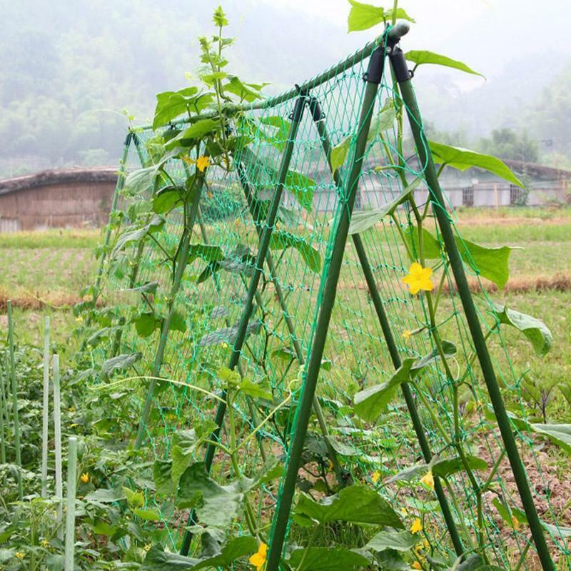 Trellis netting Plant Nets, melão, frutas, Morning Glory, flor, pepino, escalada, suprimentos de jardim, vários tamanhos