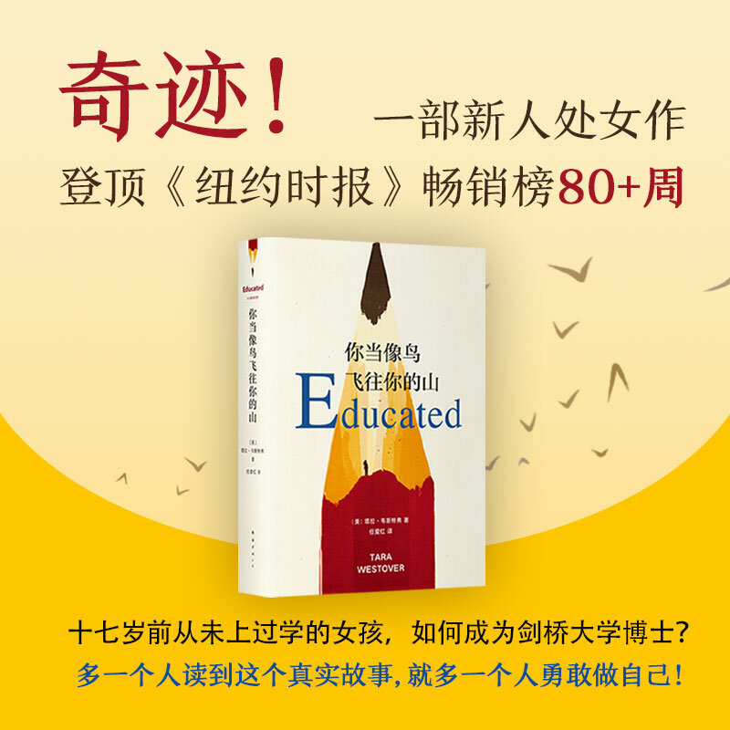 현대 및 현대 문학 중국 책, 새처럼 당신의 산에 날아가야만한다