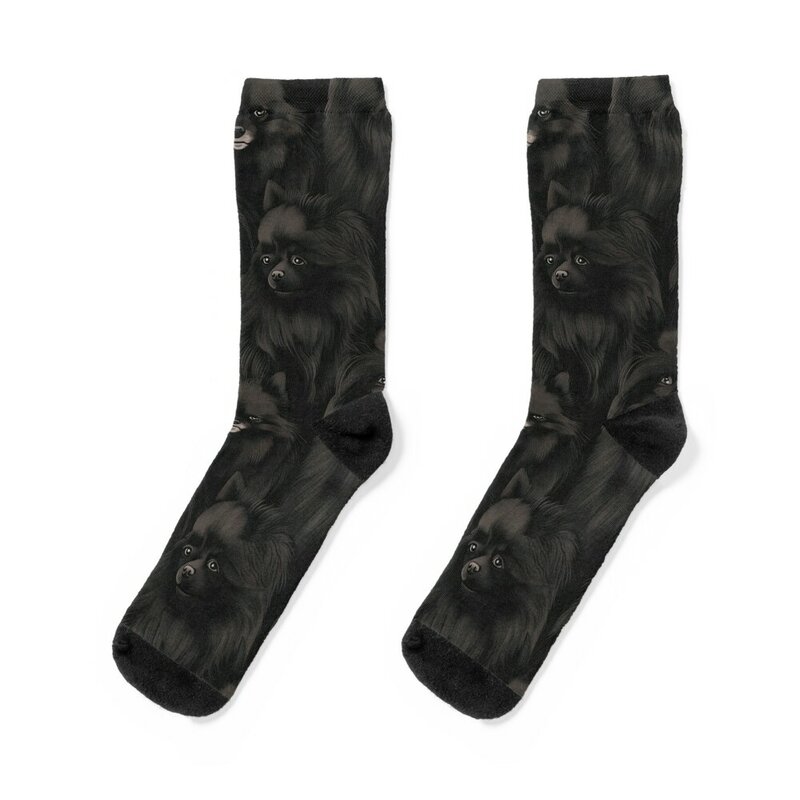 Calcetines con diseño de Pomerania para hombre y mujer, medias esenciales de estética a la moda, color negro