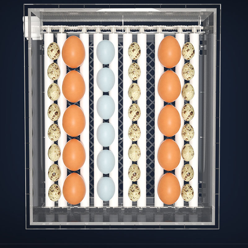 Incubatrice incubatrice per uova piccola famiglia automatica intelligente pulcino anatra oca piccione quaglia incubatrice