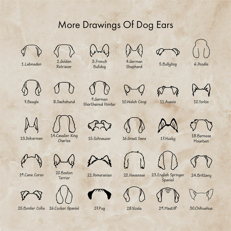 Custom Dog Ears Outline Nome Colar para Homens e Mulheres, Aço Inoxidável Pet Name Colares, Animal Memorial Gift