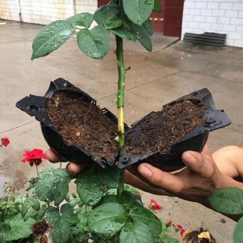 Hurt! Plant Rooting Ball szczepienie ukorzenienie rosnące pudełko hodowla wysiew Case pojemnik przedszkole Box nasiona ogrodowe Root Growing