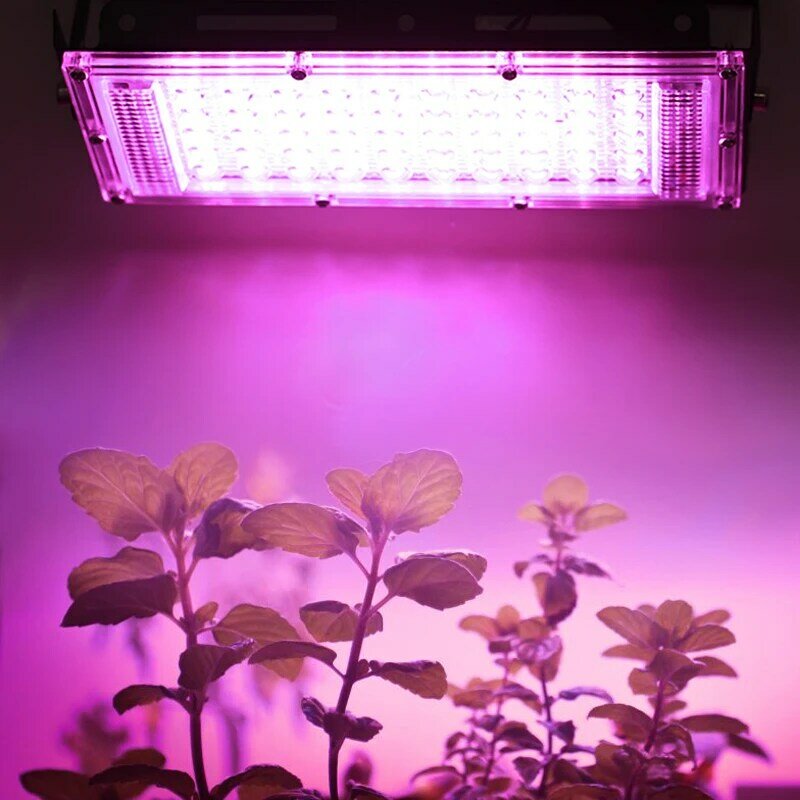 屋内植物栽培用LED成長ライト,3ピース,フルスペクトル,50W,水耕温室,植物用,smd2835