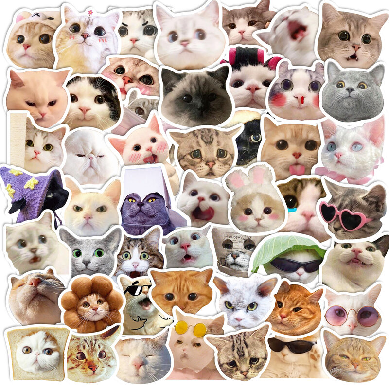 Tiktok Amuse Funny Cat Face Sticker, decalques à prova d'água, skate, telefone, chaleira, bicicleta, laptop, geladeira, grafite, crianças recompensas, 50 pcs, 100pcs