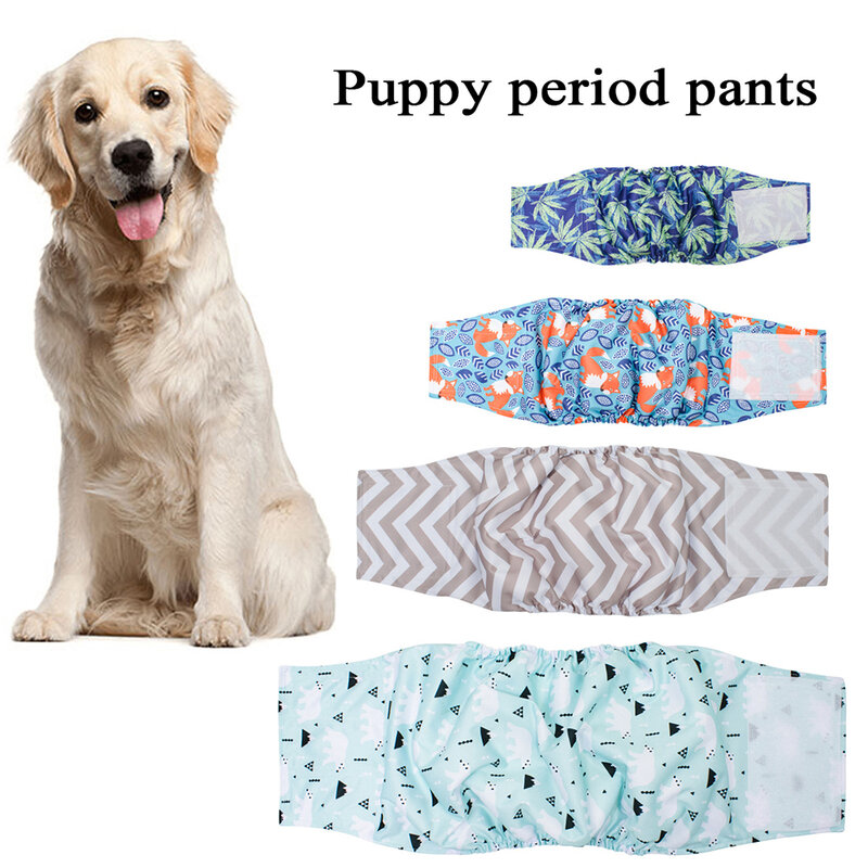 Fraldas Pet Leakproof ajustáveis, Absorção Rápida, Calças fisiológicas para cão masculino, Faixa de barriga, Fraldas absorventes