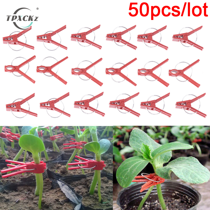 50 szt. Plastikowe zaciski do szczepienia roślina ogrodowa zaciski podtrzymujące okrągłe czerwone zaciski do ogrodnictwa warzyw kwiaty krzewy akcesoria