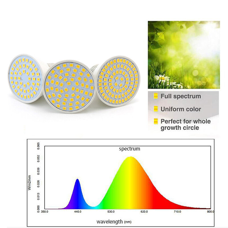 Spektrum Penuh 48 60 80 LED Tanaman Tumbuh Bola Lampu E27 Phytolamp Vegs Cultivo Growbox Bunga Sinar Matahari Dalam Ruangan Kotak Rumah Kaca