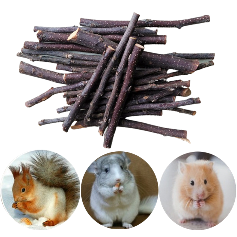Juguete para masticar para mascotas pequeñas, palos de madera, ramitas, conejo, conejillo de indias, loro, 2022