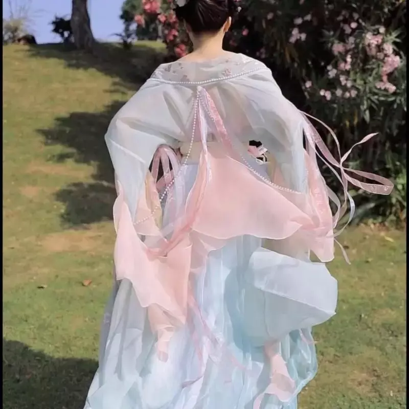 Abito cinese Hanfu camicia a maniche grandi stampata da donna Hanfu Set Carnival Fairy Cosplay Dress Hanfu Dance Dress
