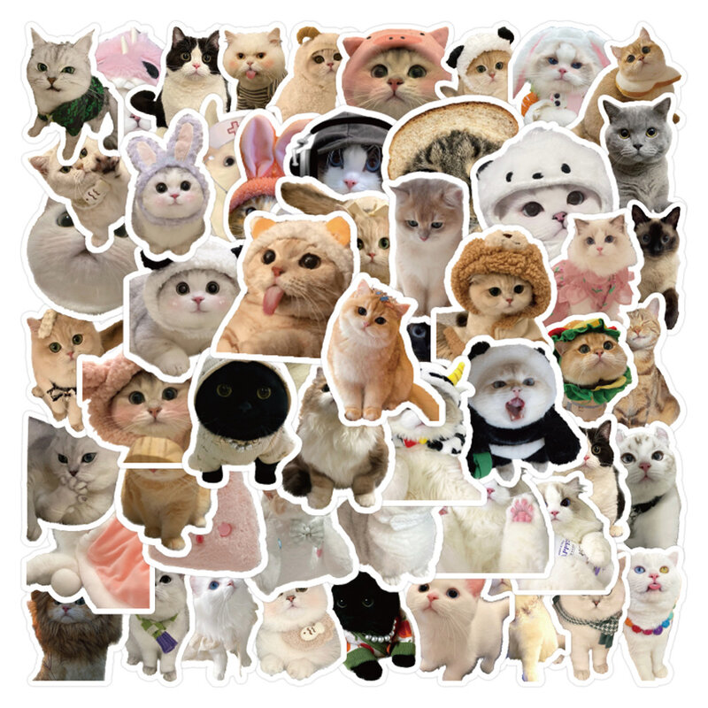 Kawaii-子供用のかわいい猫の漫画のステッカー,ラップトップのスクラップブック,文房具,屋外での使用,楽しいステッカー,10/30/60個