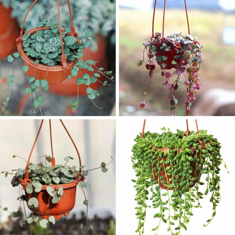 Chain Plant Basket Flower Pot Airflow Decoraion Hanging Balcony Outdoor Indoor Plastic With Hook Accessories Balcony