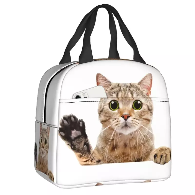 Симпатичная шотландская кошка, подглядывающая сумка для обеда, герметичная Термосумка для пикника, теплое охлаждение, термоконтейнер для обеда для женщин и детей