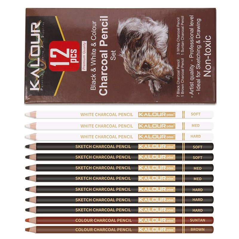 Set di matite colorate a carbone KALOUR, Kit da disegno professionale in gesso pastello da 6/12 pezzi per schizzi di ombreggiatura che sfumano l'arte del ritratto
