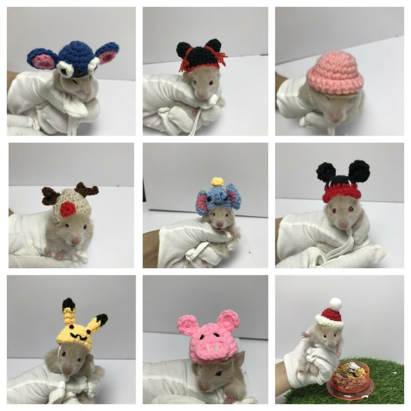 Mini Knitted Hand Hook Pet Headgear Hats for Hamsters, Parrots, Lizards, Snakes and Other Small Pets