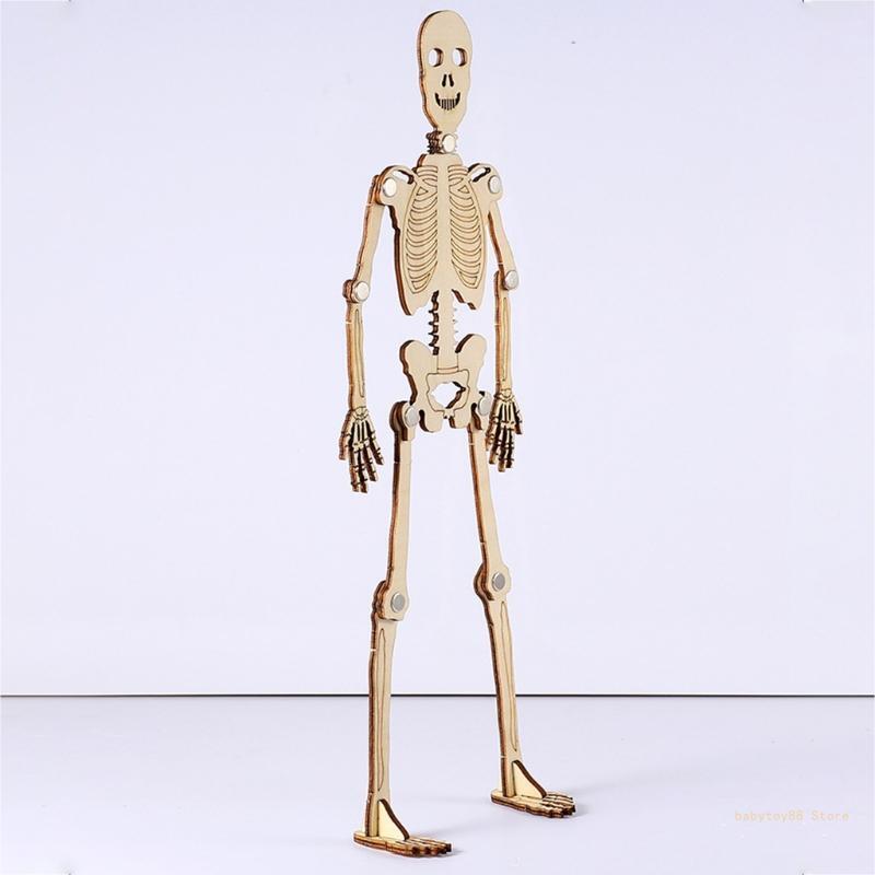 Y4UD 3D модель человеческого скелета, подарок на день рождения, детские развивающие головоломки, поставка для класса