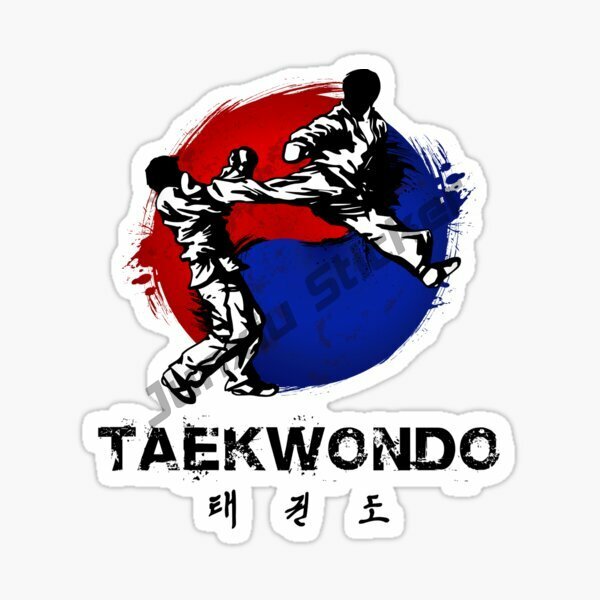 Karate / Taekwondo Wall Sticker-Kick in piedi arti marziali/Silhouette sportiva per finestre, auto, camion, cassette degli attrezzi, laptop,