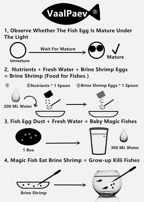 VaalPaev DIY 공예 업그레이드 기본 확장 세트, 킬리피쉬 계란 물고기 캐비아, 지구에서 소금물 새우, 어린이 교육 장난감