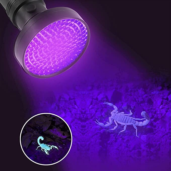 Torcia UV a luce nera 395nm UV Blacklight Dogs rilevatore di urina torcia UV portatile per macchie secche e caccia allo scorpione