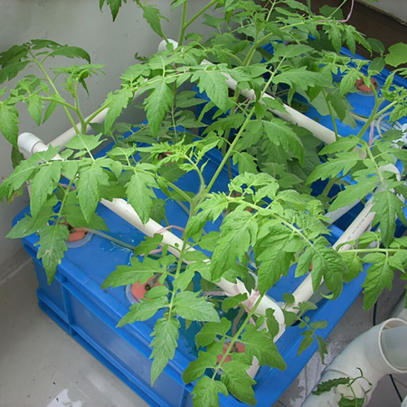 Sistema hidropónico inteligente para cultivo de verduras, maceta de Interior para jardín Vertical, granja hidropónica pequeña