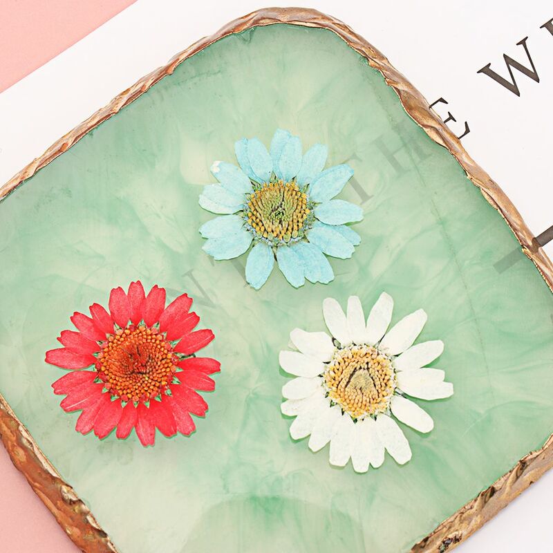 Pressionado Daisy Dried Flower Pendant Necklace, Resina Fazer Jóias, DIY Crafts Art, 12Pcs por saco