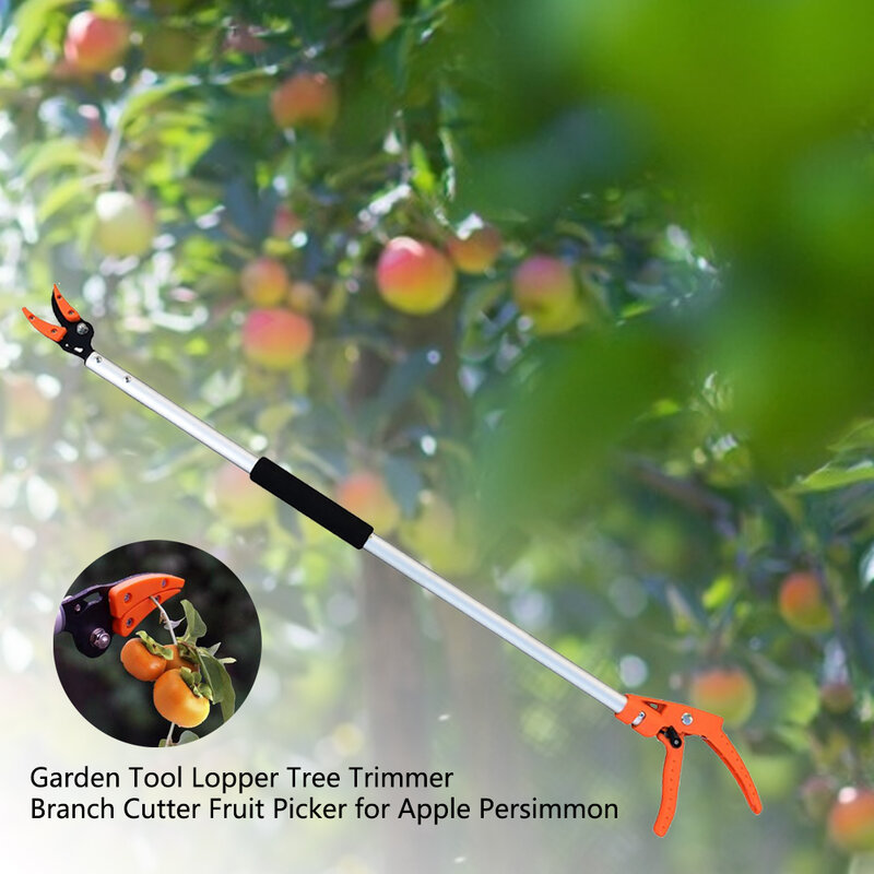 กรรไกรตัดกิ่งไม้ขยายได้กรรไกรเล็มต้นไม้มีดตัดกิ่งตัดผลไม้สำหรับ Apple ลูกพลับ