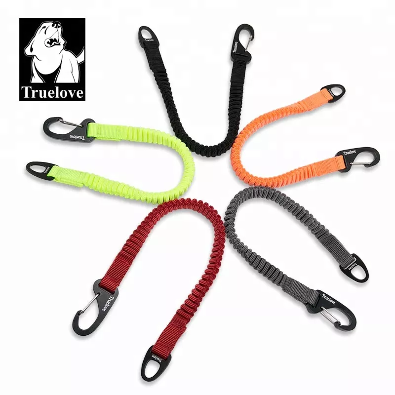 Truelove Short Bungee Leash For Dogs Nylon Leash For dog collar Extension Retractable For All Breed Training Running walking