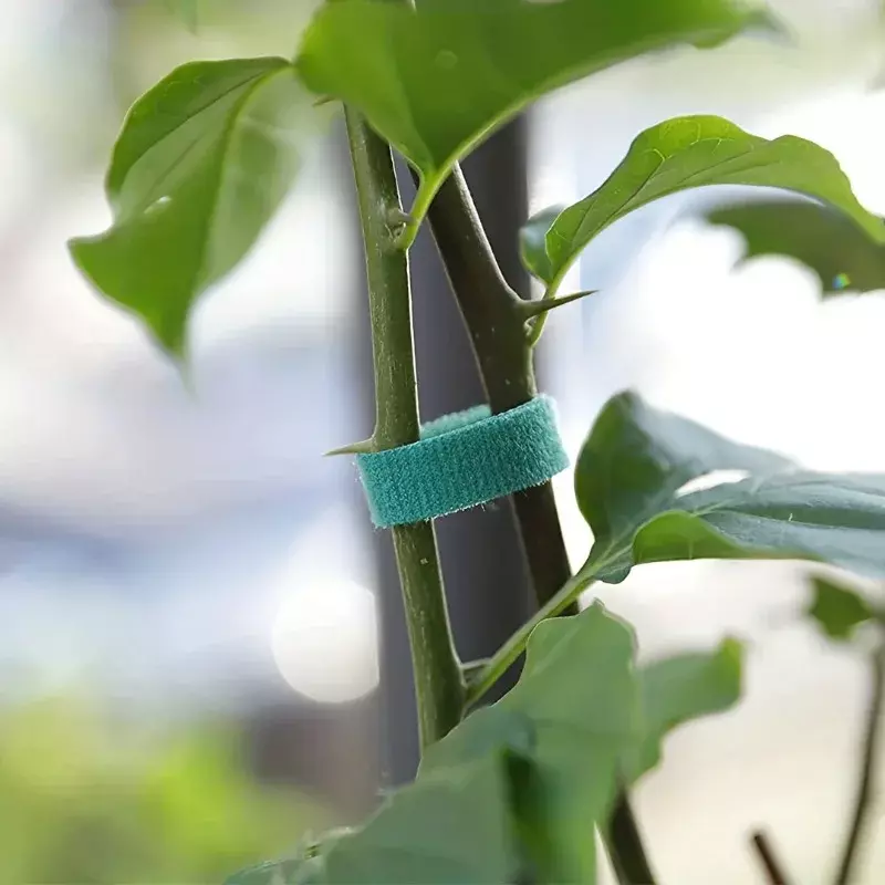 20/2M Nylon Plant Ties Plant Bandage Hook Tie Loop supporto per piante regolabile nastro di fissaggio riutilizzabile per accessori da giardino di casa