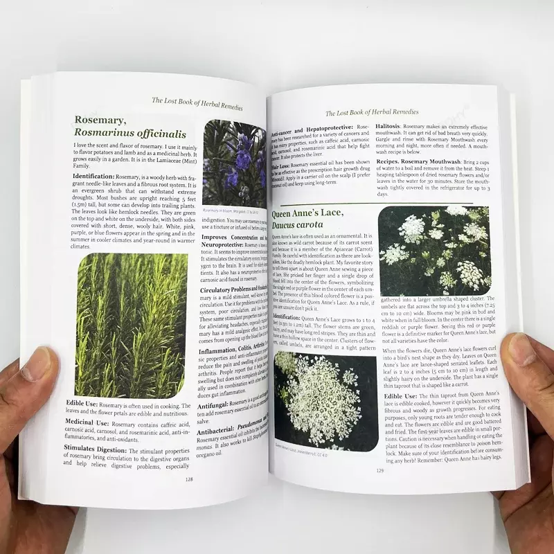 El poder curativo de la planta, Libro Perdido de remedios herbales, medicina, páginas interiores de colores, Paperback
