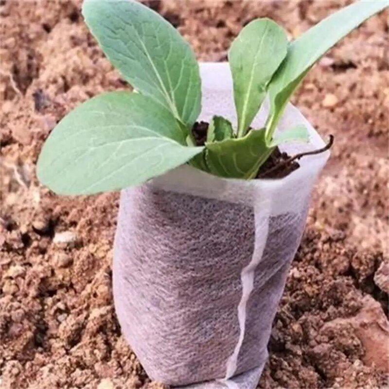 不織布の苗の発芽を育てるバッグ,100個,生分解性,サイズ80x100mm