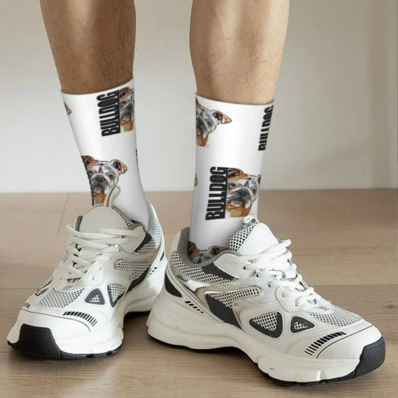 Funny English Bulldog Dog Dogs Socks Harajuku Sweat Absorbing Stockings All Season Long Socks Accessories for Man's Woman's