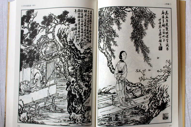 Coleção Completa de Livros Didáticos, Pintura Tradicional Chinesa, Introdução e Papéis