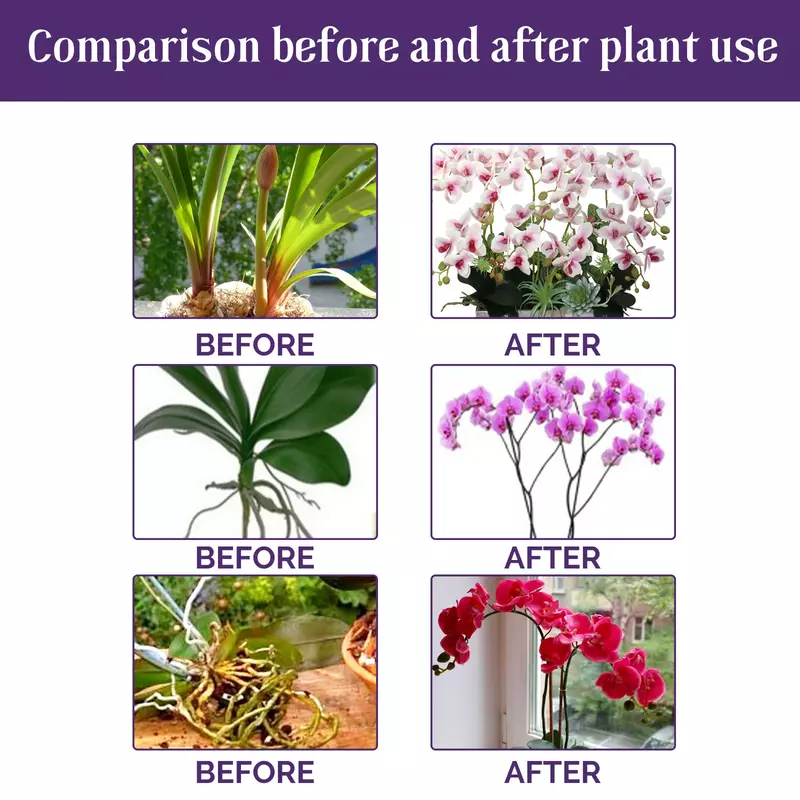 난초 신 꽃 식품 부스터 액체 비료, 난초 꽃 식물 성장 촉진제, 실내 식물 보충제, 50ml