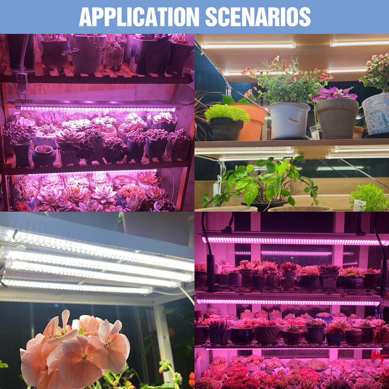 Iluminación LED para plantas, lámpara de crecimiento de espectro completo, luz Led Phyto, Fitolamp de 220V para plántulas de invernadero de flores de interior