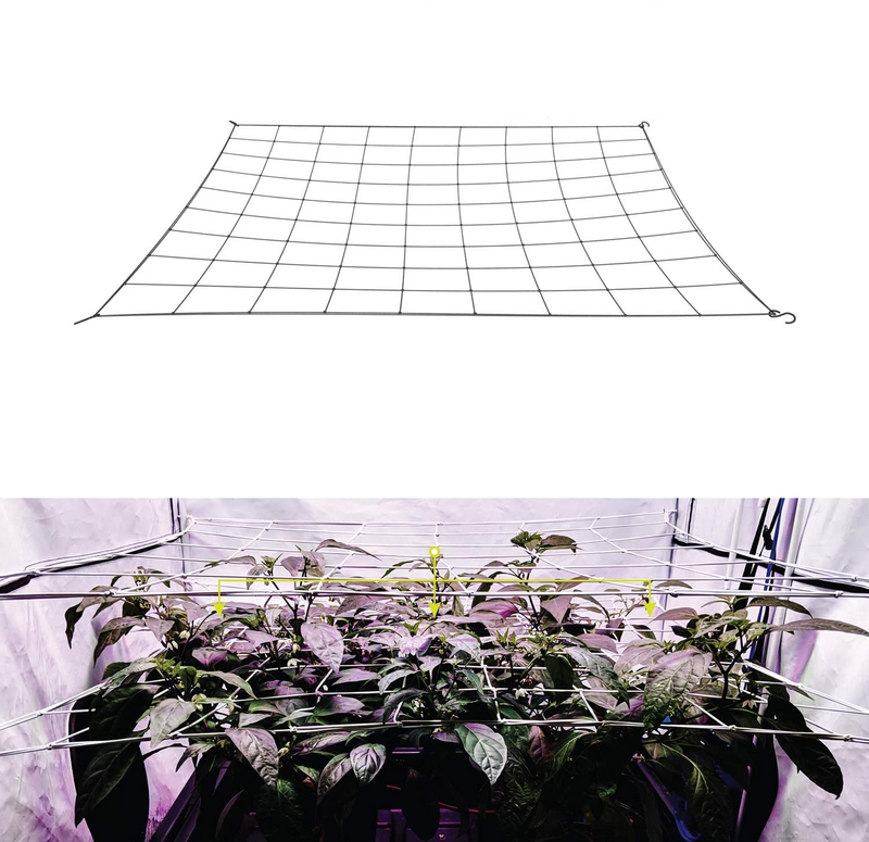 Сетчатая сетка 4 дюйма, поддержка растений, эластичная сетка для выращивания растений, сетка для сетки с крючками для выращивания растений в помещении, комплект коробок для тренировки под низким уровнем напряжения