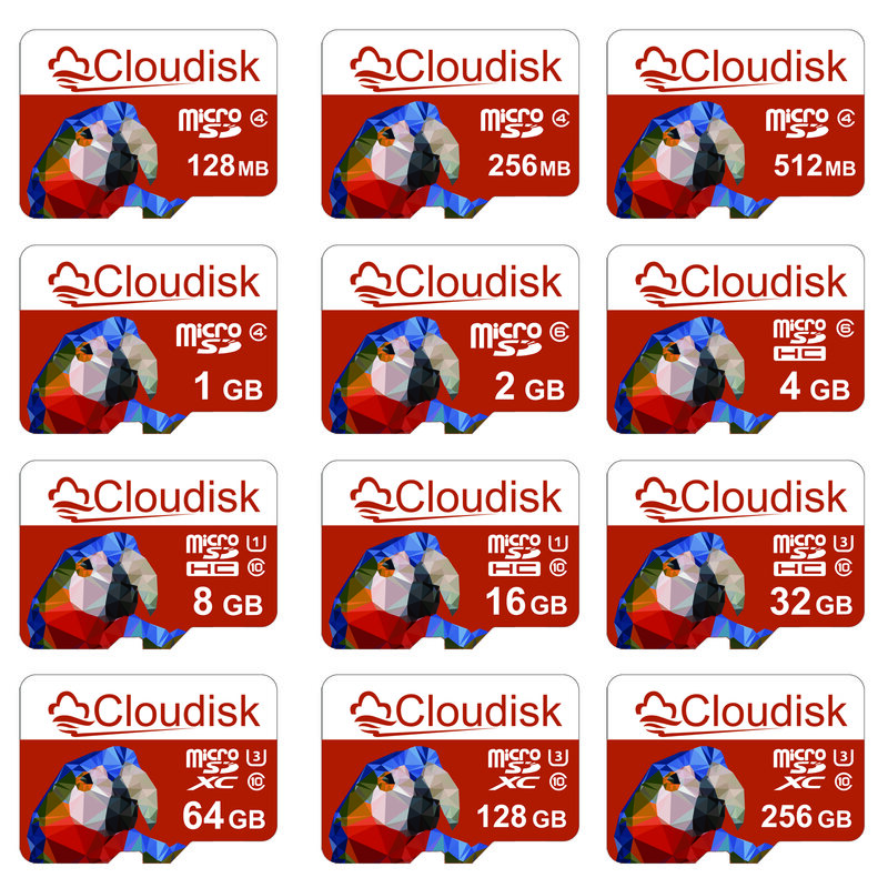 Clouddisk karta pamięci 128GB 256GB U3 motyw papugi TF karta Micro SD 64GB 32GB 16GB 8GB 4GB 2GB 1GB C10 dla Tablet z funkcją telefonu