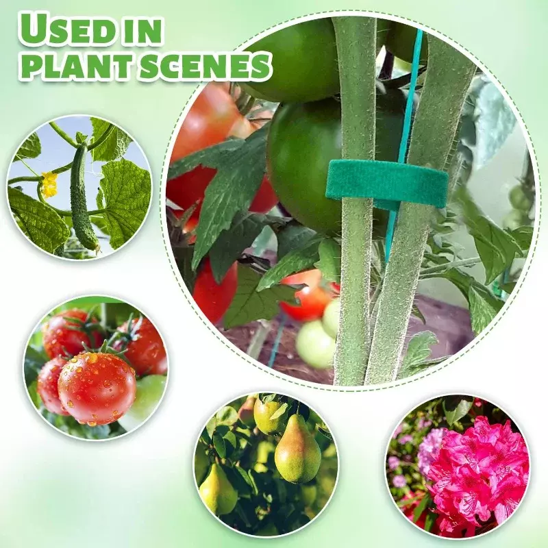 Auto-adesivo Nylon Plant Ties, Resealable Abraçadeiras, fita de fixação para suporte, videiras, tomate, suprimentos de jardim, 5 rolos, 1 rolo