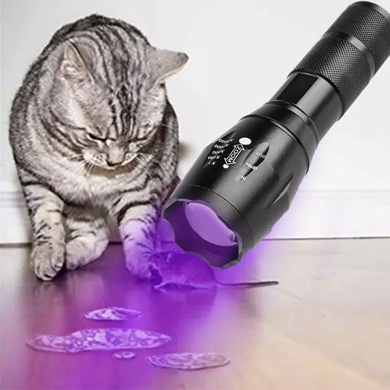 Linterna ultravioleta 2 en 1, luz blanca púrpura Dual, linterna con zoom, detección de agente fluorescente, escorpión, caza, UV