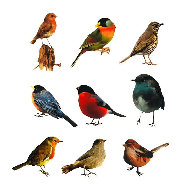 Realista cor Robin pássaro adesivo, bonito adesivo para notebook, laptop, copo de água, jornal, caixa do telefone, janela, atacado, 10 pcs, 30 pcs, 50pcs