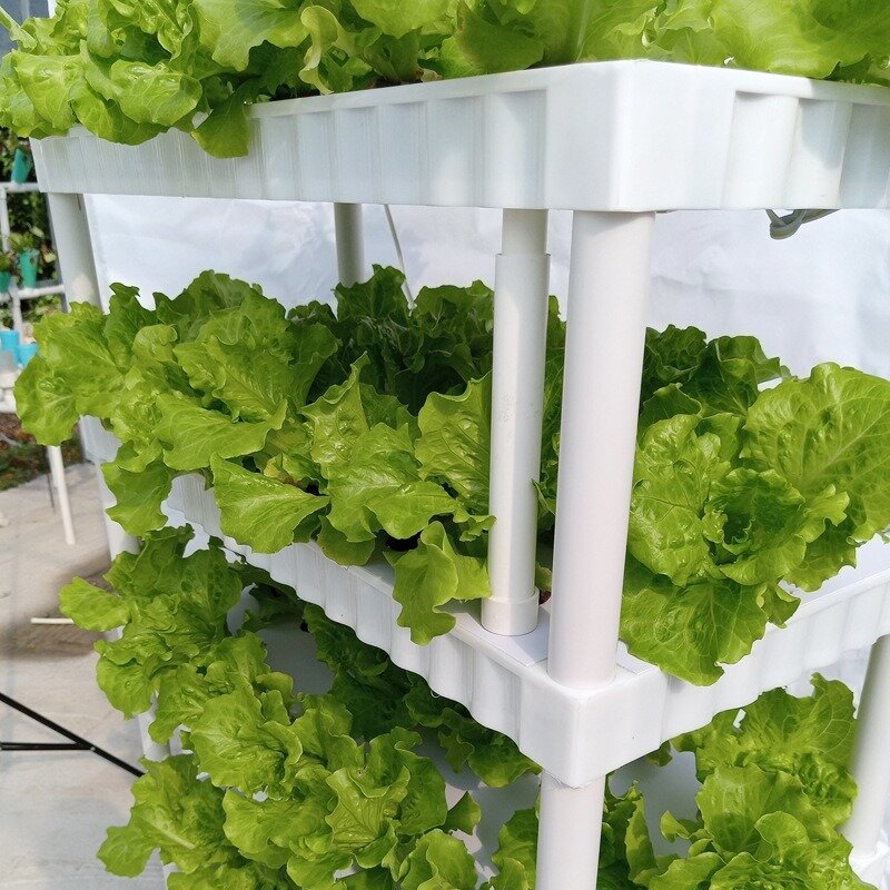 Sistema hidropónico para cultivo sin suelo, jardín Vertical Artificial, sistema inteligente de plantador interior, invernaderos, equipo de jardinería